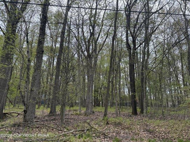 Land for sale in Pocono Lake, Tobyhanna Township