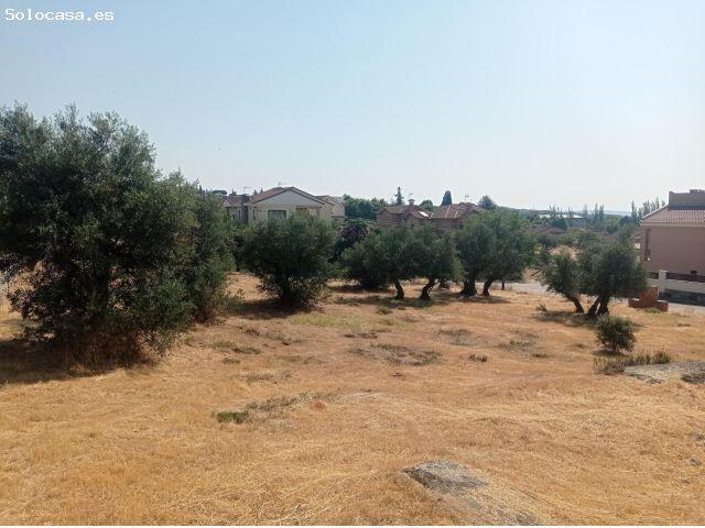 Local Comercial en venta en San Martín De Valdeiglesias