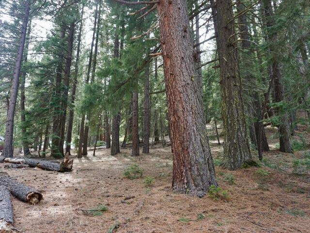 Property for sale in California