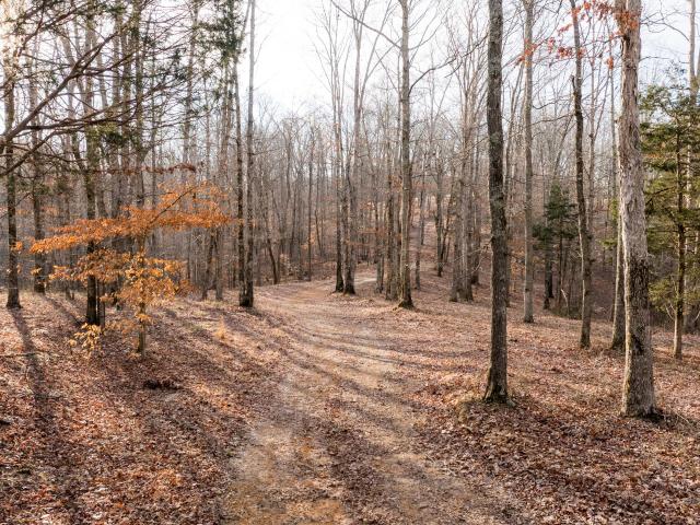 Land for sale in Tennessee