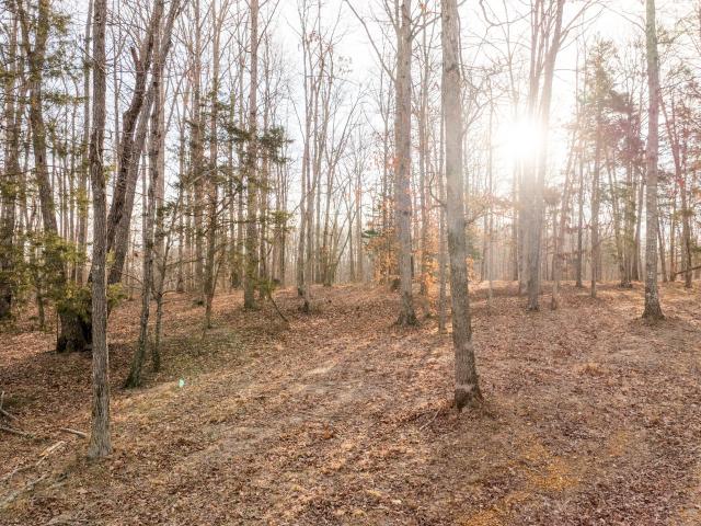 Farm for sale in Tennessee