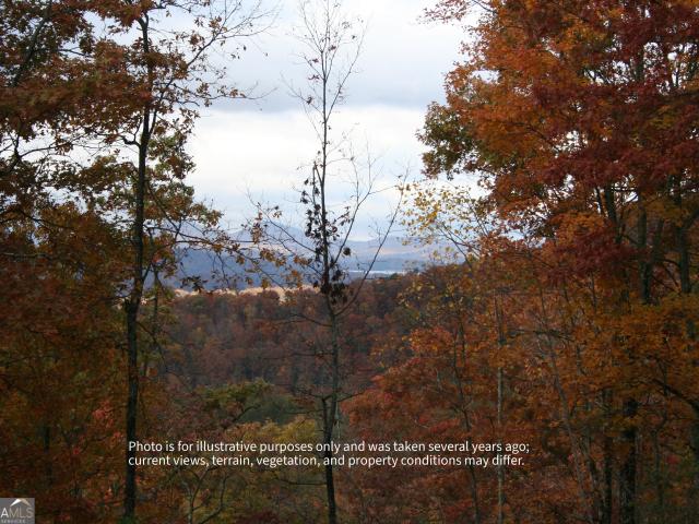 Land for sale in Hayesville, North Carolina