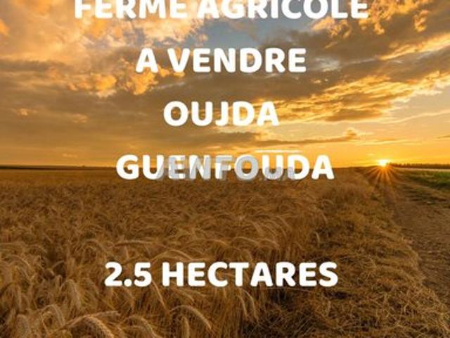 Propriété vente à Guenfouda