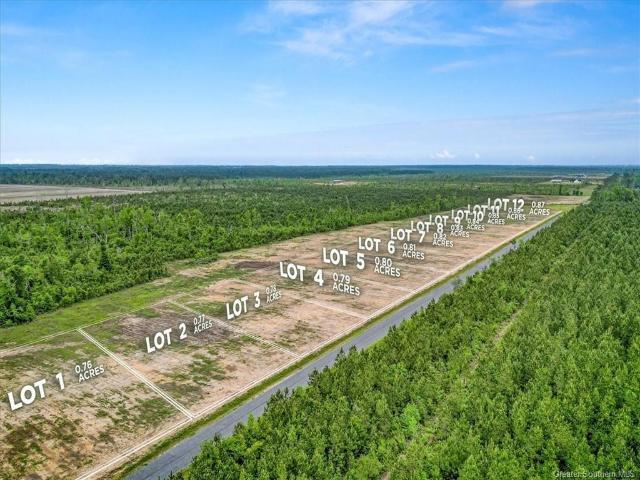 Land for sale in Ragley, Louisiana