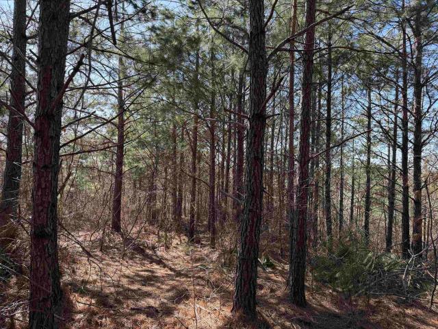 Land for sale in Tennessee