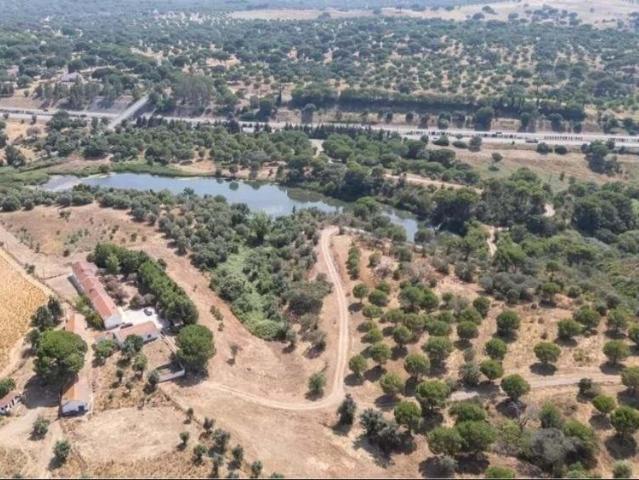 Terreno venda em Alcácer Do Sal, Setúbal
