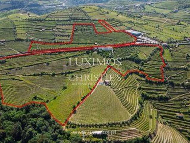 Loja venda em Lamego, Viseu
