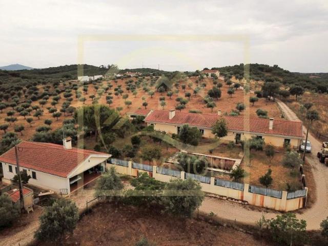 Terreno venda em Estremoz, Évora