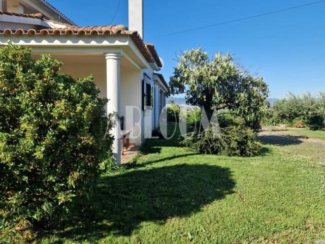 Casa venda em Castelo Branco, Aldeia Nova Do Cabo