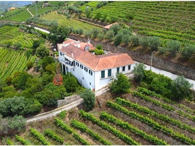 Terreno venda em Quintião, Lamego