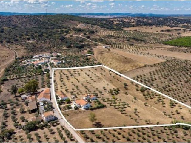 Terreno venda em Monforte, Portalegre