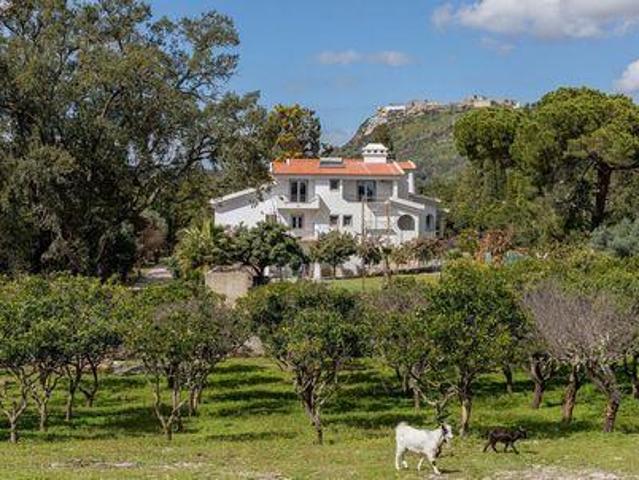 Casa venda em Mira Ventos, Palmela