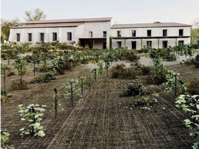Terreno venda em Varatojo, Torres Vedras