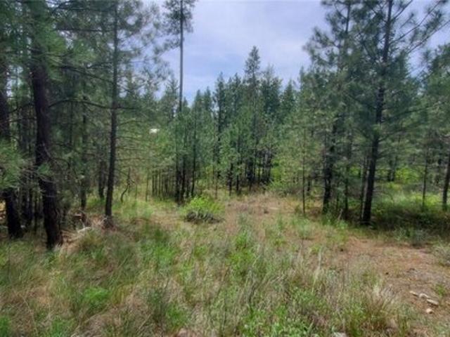 Land for sale in Tonasket, Okanogan County