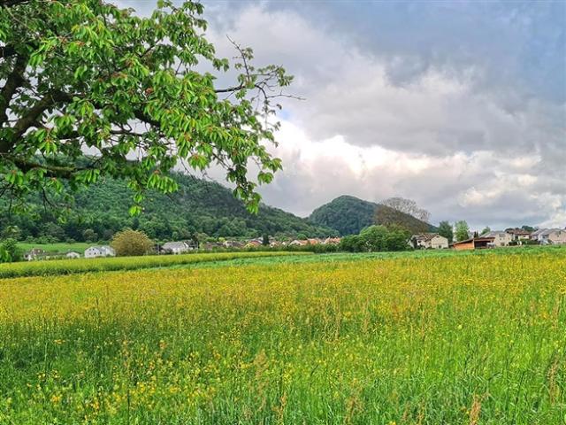 Einfamilienhaus kaufen in Witterswil, Solothurn