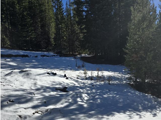 Land for sale in Oregonia
