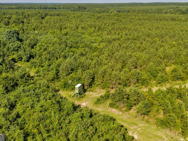 Land for sale in Dodge, Georgia