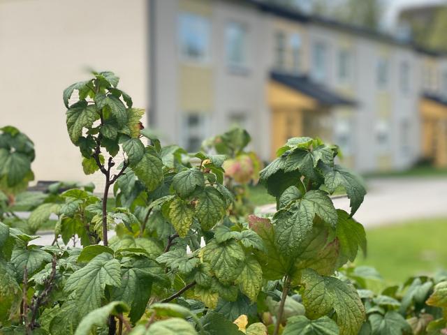 Lägenhet hyra i Lindesberg, Örebro