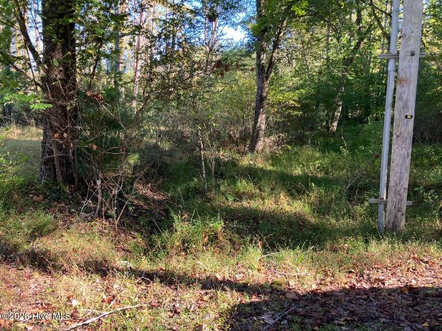 Land for sale in Hayesville, Clay County