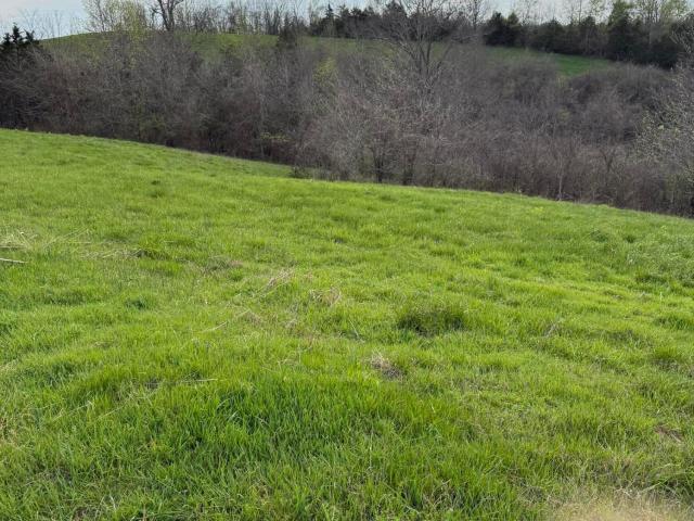 Land for sale in Bloomfield, Kentucky
