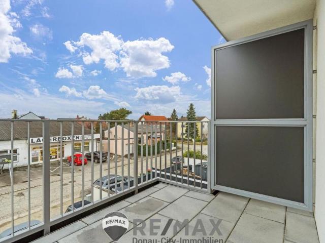 Haus kaufen in Deutsch Wagram, Niederösterreich