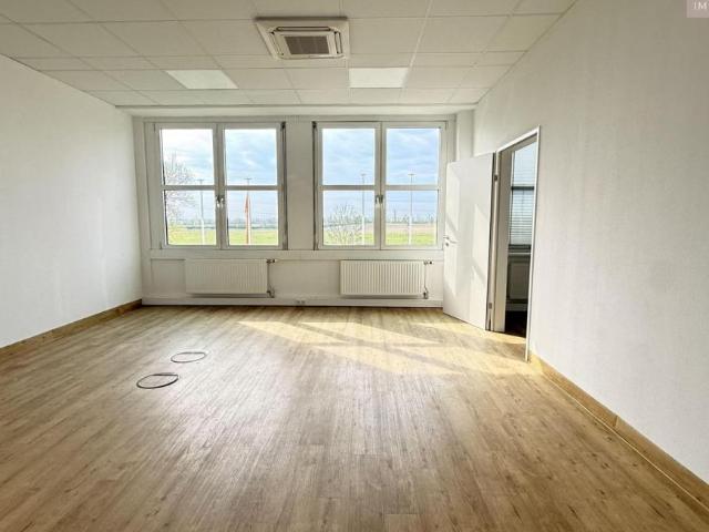 Gewerbe mieten in Schwechat, Niederösterreich