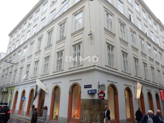 Wohnung mieten in Innere Stadt, Wien