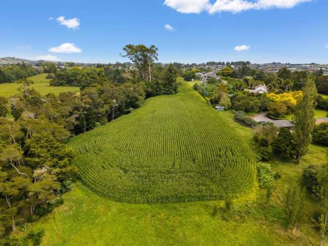 Land for sale in Morrinsville, Waikato