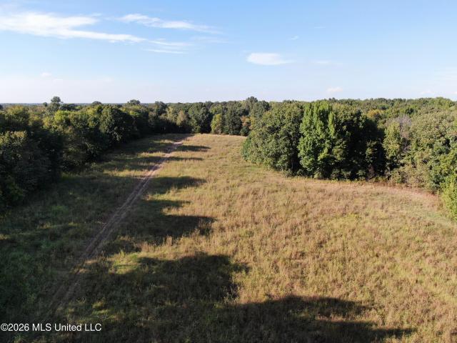 Land for sale in DeSoto County, Mississippi