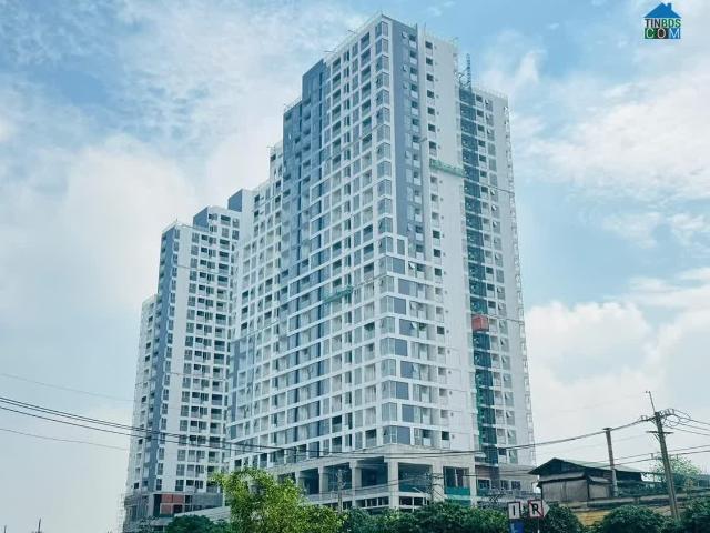 Nhà mặt phố bán tại Khuôn viên UBND Thành phố Hồ Chí Minh, Thành phố Hồ Chí Minh