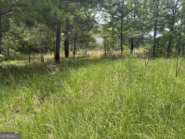 Land for sale in Davisboro, Georgia