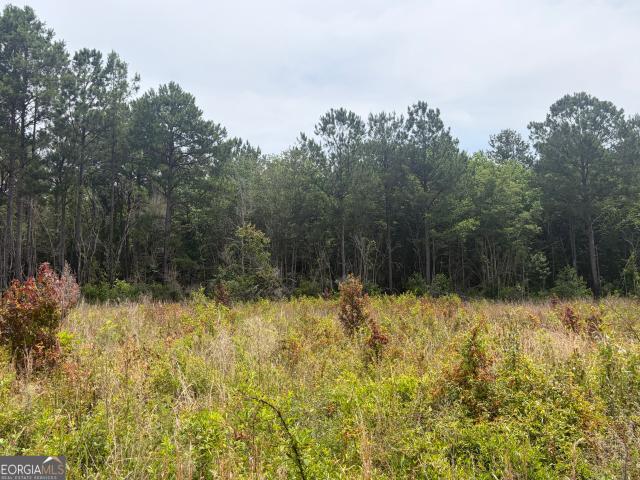 Land for sale in Davisboro, Georgia