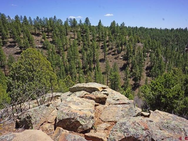 Land for sale in Montezuma, Colorado