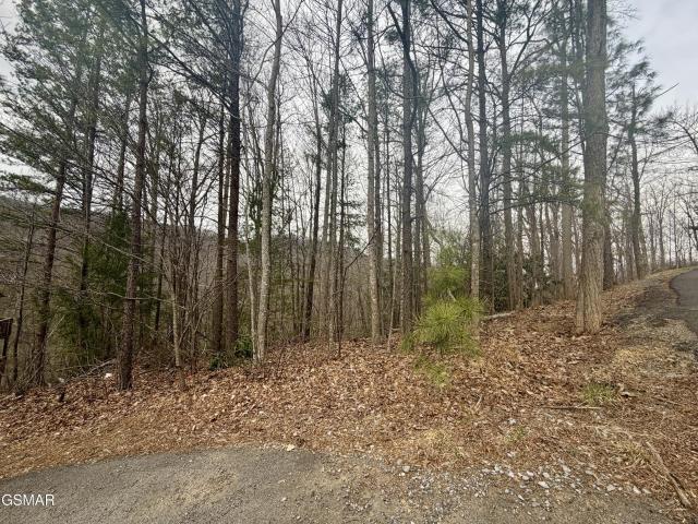 Land for sale in Tennessee