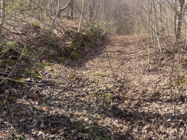 Land for sale in Manchester, Kentucky