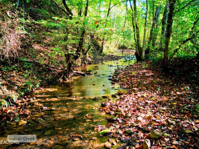 Land for sale in Tennessee