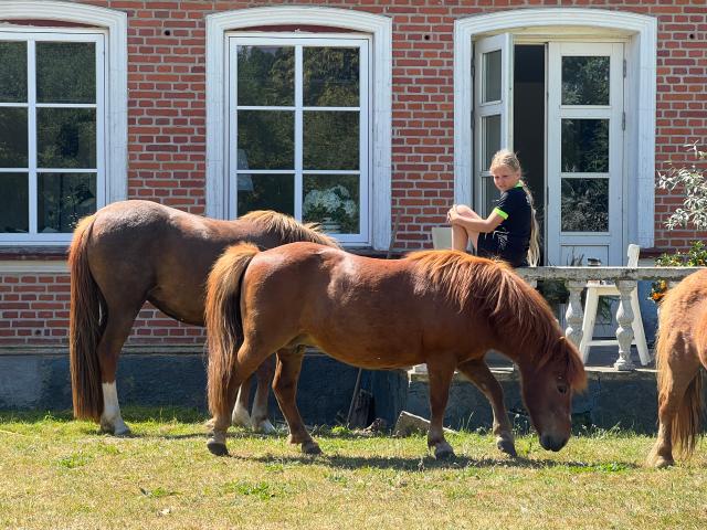 Hus til leje i Ærø