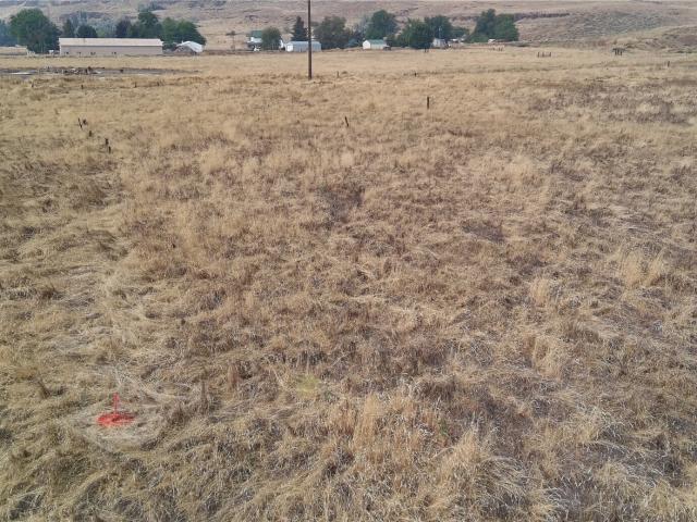 Land for sale in Washtucna, Washington