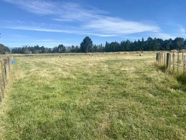 Land for sale in Takapau