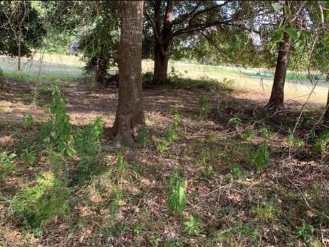 Land for sale in Walker, Texas