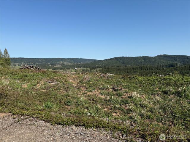 Land for sale in Chehalis, Washington