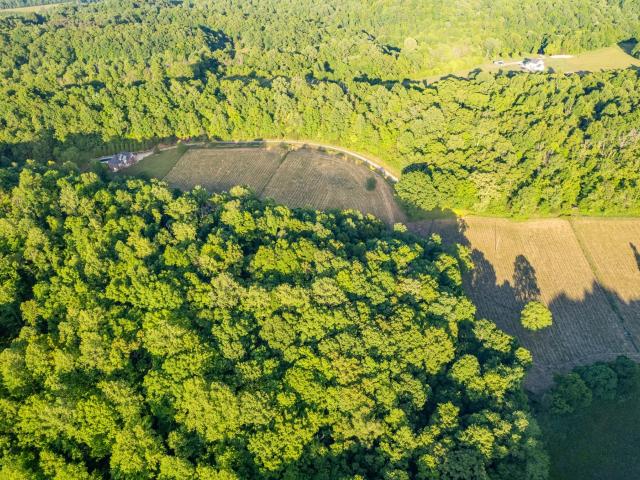 Land for sale in Pulaski, Middle Tennessee