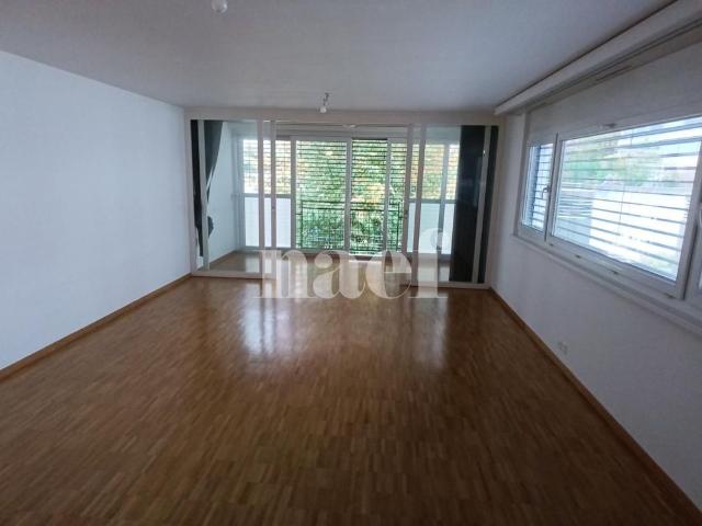 Apartment mieten in Petit-Lancy, Lancy