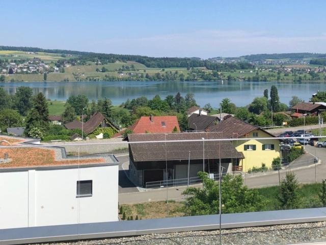 Einfamilienhaus kaufen in Boniswil, Aargau