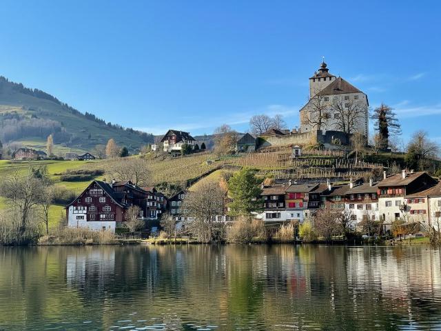 Einfamilienhaus kaufen in Grabs, St. Gallen