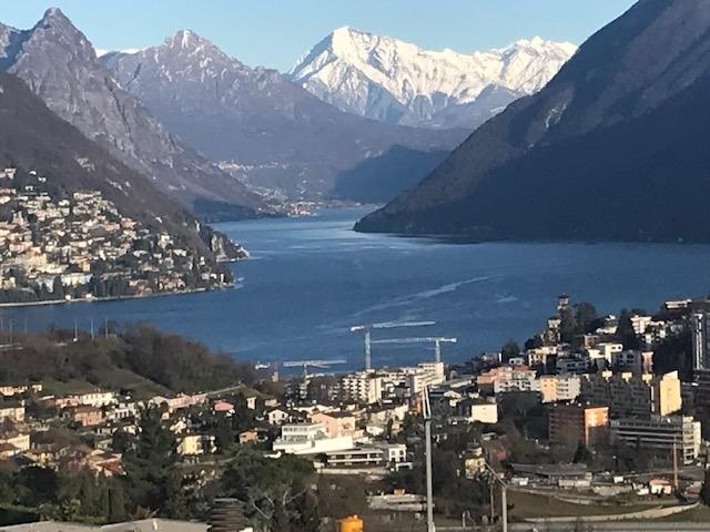 Wohnung kaufen in Aldesago, Tessin