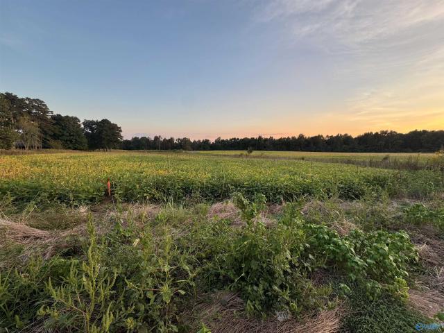 Land for sale in Davistown, Section