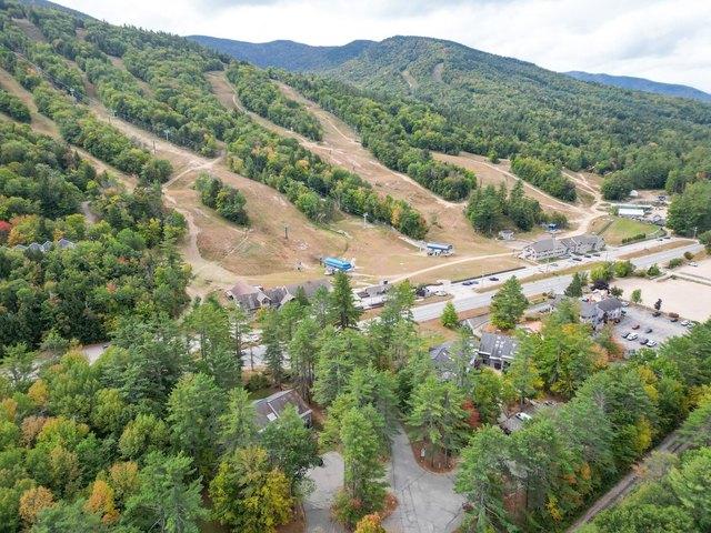Condo for sale in New Hampshire