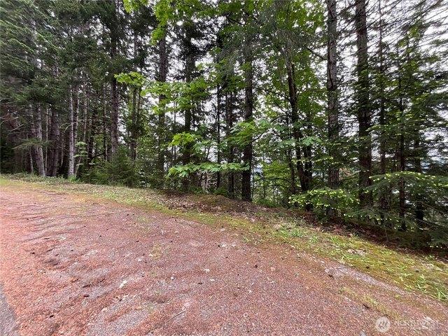 Land for sale in Lilliwaup, Washington