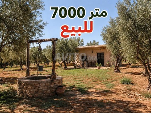 Propriété vente à Al Haouz, L'Oriental